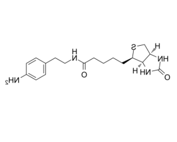 Biotin-aniline 
