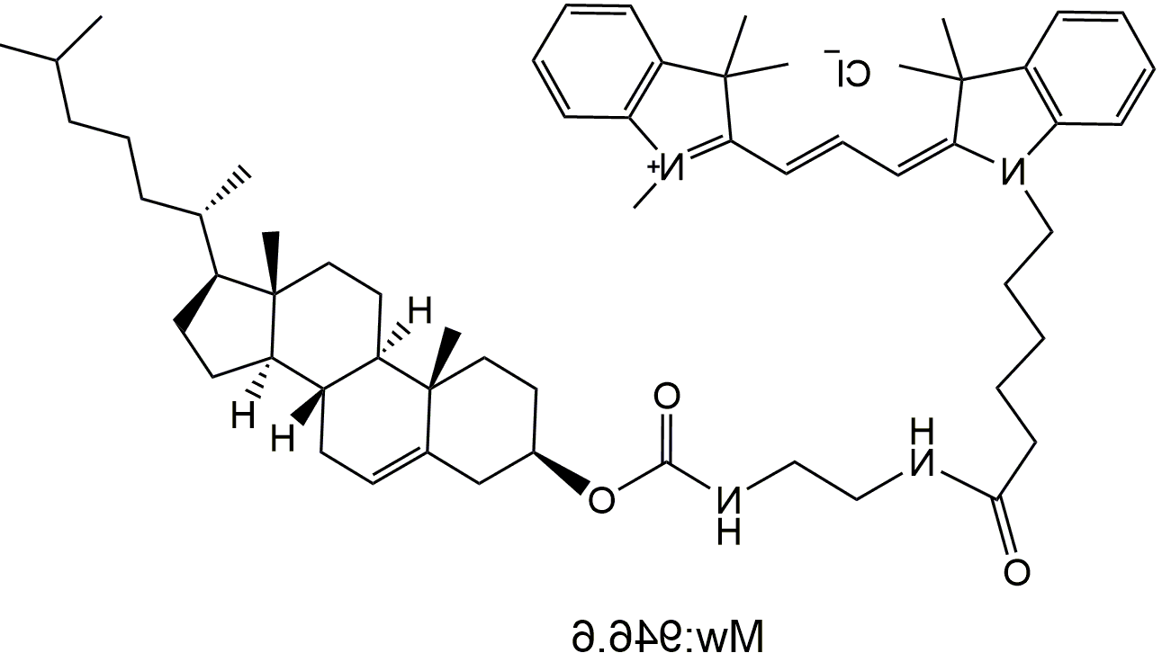 Cy3-Cholesterol