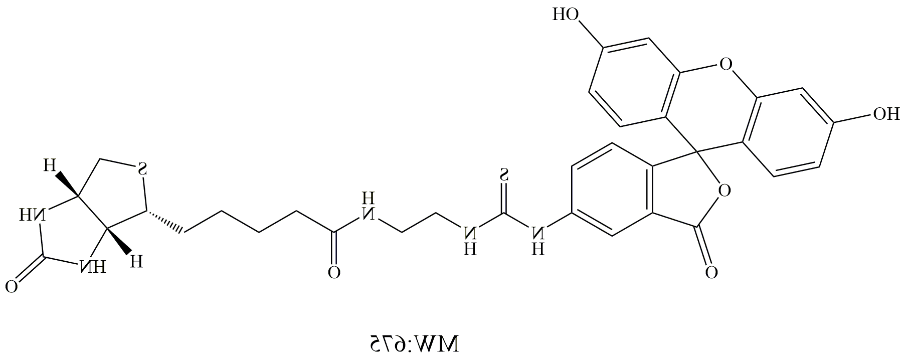 荧光素标记的生物素，FITC-Biotin