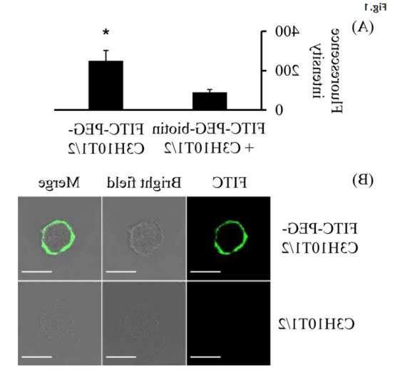 FITC-PEG-BIOTIN