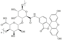 FITC-Alginate