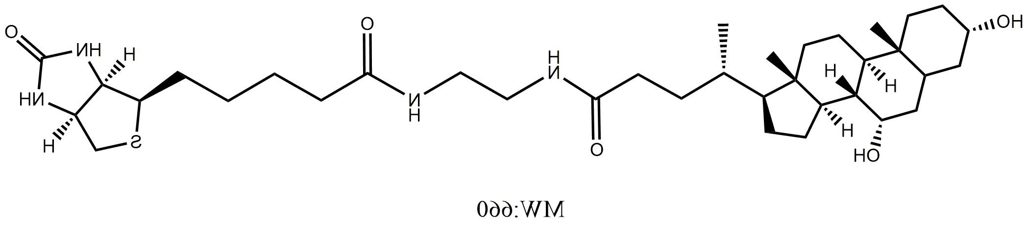Biotin-CDCA