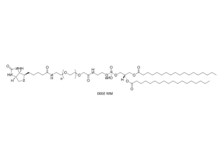 DSPE-PEG-Biotin (MW 1000) 