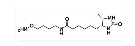 Desthiobiotin-C4-oxyamine