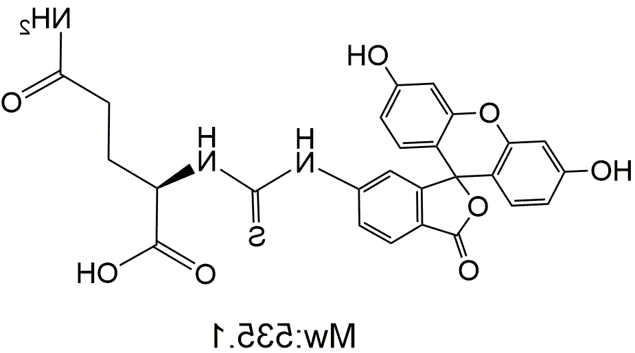 FITC-Glutamine，荧光素FITC修饰的谷氨酰胺
