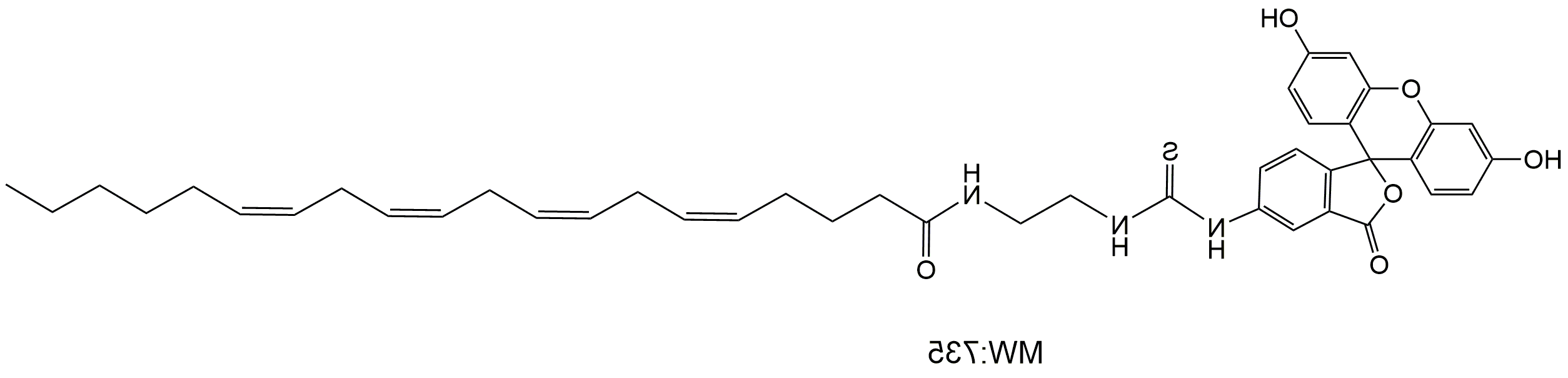 FITC-arachidonic acid，FITC-花生四烯酸
