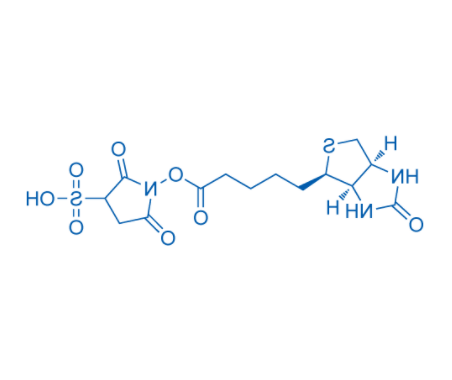 Biotin sulfo-N-hydroxysuccinimide ester 