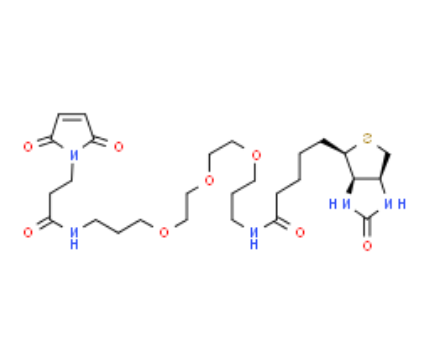 生物素-PEG3-马来酰亚胺	 