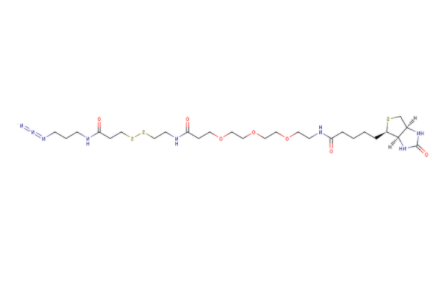 	Biotin-PEG3-SS-azide 