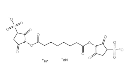 BS3 Crosslinker disodium 