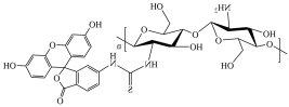 FITC-Chitosan
