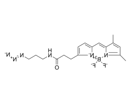 	BODIPY FL azide 