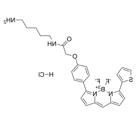 BODIPY TR Cadaverine 