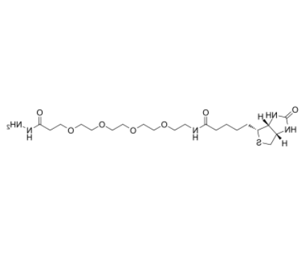 Biotin-PEG4-Hydrazide 