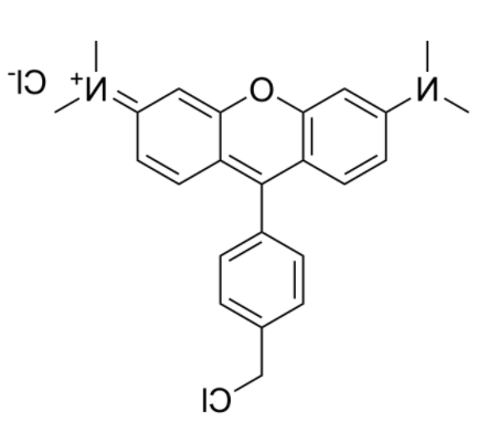 MitoTracker Orange CMTMRos 