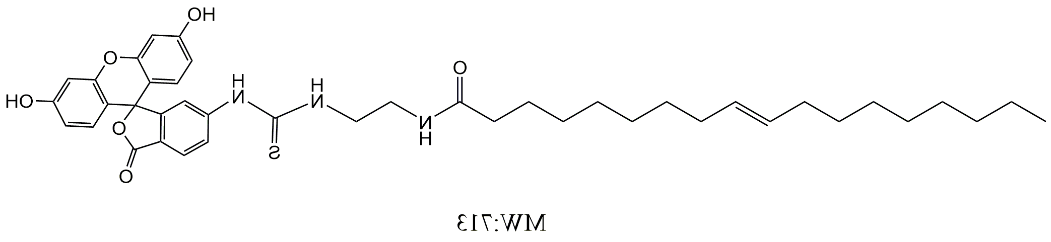 荧光素标记油酸，ITC-Oleic Acid