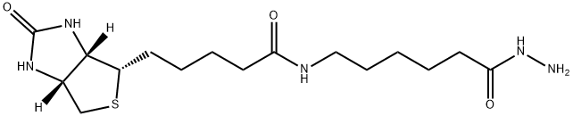 BIOTIN LC HYDRAZIDE BIOTIN LC HYDRAZIDE