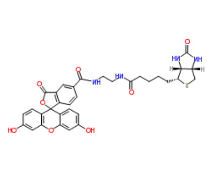 BIOTIN-4-FLUORESCEIN 