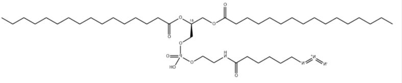 DPPE-Azide  