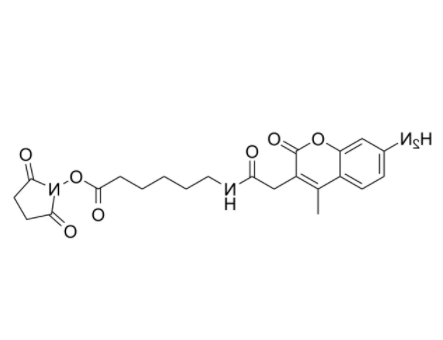 AMCA-X 琥珀酰亚胺酯	