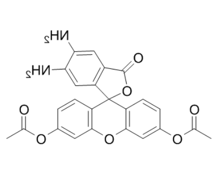 4,5-二氨基荧光素二乙酸酯	 