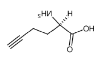 	L-Homopropargylglycine 