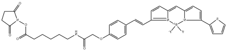BDP 630/650 X NHS ester 
