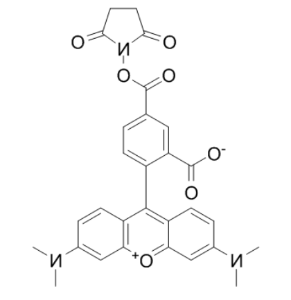 5-羧基四甲基罗丹明琥珀酰亚胺酯	 