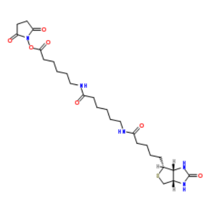 Biotin-LC-LC-NHS 