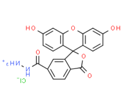 FAM hydrazide 6-isomer 