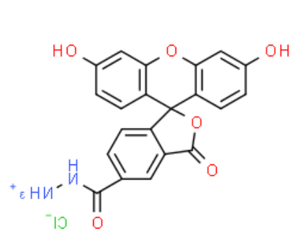 FAM hydrazide 5-isomer 