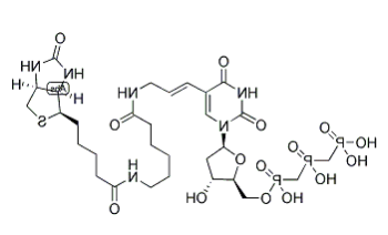 	Biotin-11-dUTP 