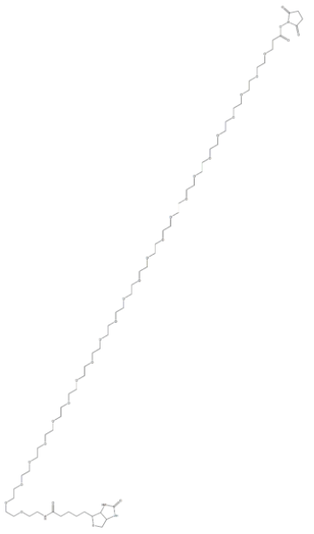 	(+)-Biotin-PEG24-NHS Ester 