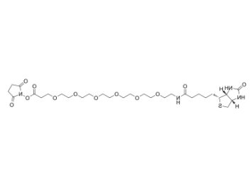 Biotin-PEG6-NHS ester 