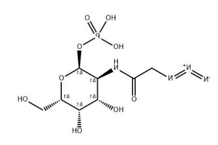 GalNAz-1-P