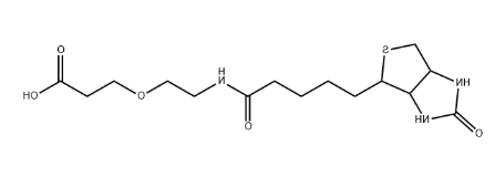 生物素-聚乙二醇-羧基