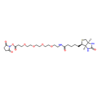 Biotin-PEG4-NHS ester 