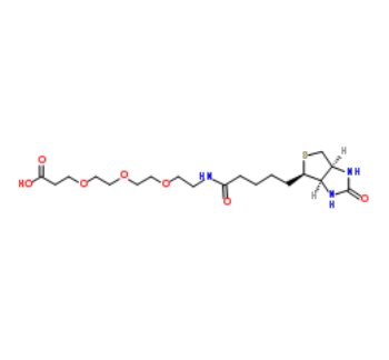 Biotin-PEG3-acid 
