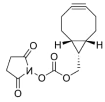 BCN NHS ester 