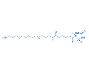 Biotin-PEG3-C3-NH2 
