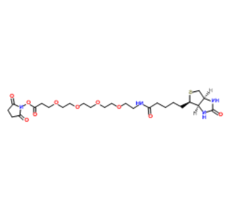 Biotin-PEG4-NHS ester 