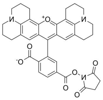6-Rhodamine X NHS ester  
