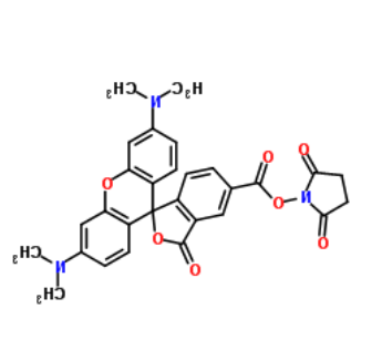 NHS-5(6)Carboxyrhodamine 