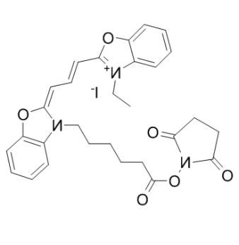 	CY2-SE 