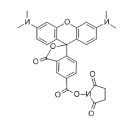 5(6)-羧基四甲基罗丹明琥珀酰亚胺酯