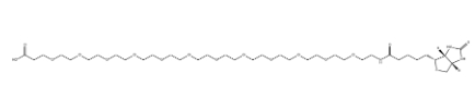 Biotin-PEG12-COOH
