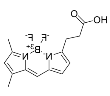BODIPY FL carboxylic acid 