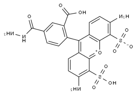 BP Fluor 488 Hydrazide 