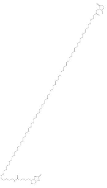 (+)-Biotin-PEG24-NHS Ester     