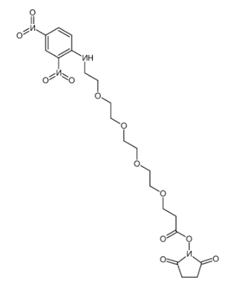 DNP-PEG4-NHS ester 